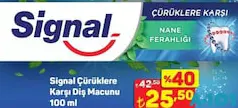 SİGNAL ÇÜRÜKLERE KARŞI DİŞ MACUNU 100 ML